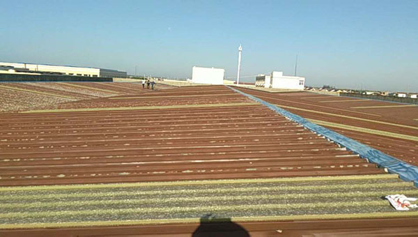 舊房彩鋼瓦屋面翻新每平方多少錢? 舊房彩鋼瓦屋面翻新每平方多少錢?